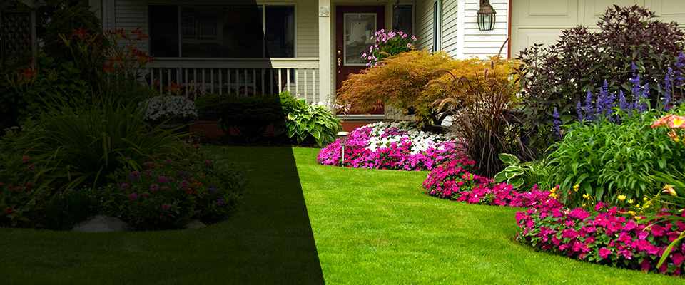 Ray Landscapers
