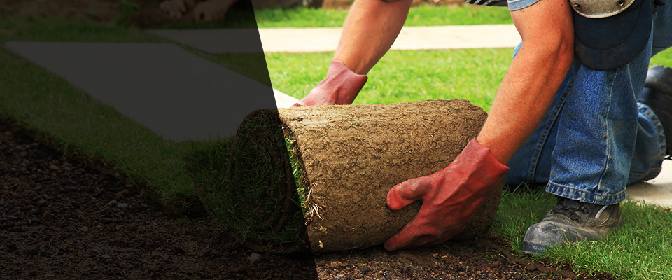 Ray Landscapers
